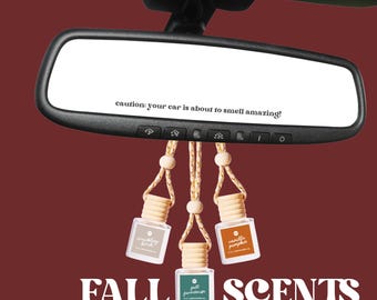 Difusor para coche / Fragancias de otoño / 10 aromas / Ambientador / Un regalo ideal / Accesorios para coche