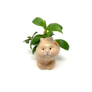 May include: A light pink ceramic cat planter with a small green plant growing out of the top. The cat has a cute face with black eyes and a pink nose.