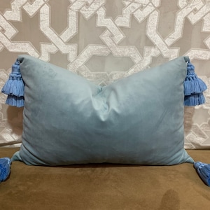 May include: A light blue velvet pillow with blue tassel trim. The pillow is sitting on a brown surface.