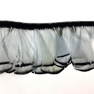 Feather border golden pheasant gray - Made in Italy - hatters scrapbooking jewelery making decorative feathers