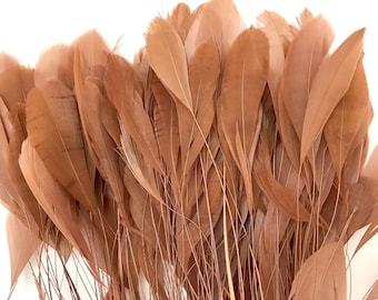 Coquetips - rooster feathers trimmed color brown - hatter scrapbooking jewelry making decorative feather - Made in the EU