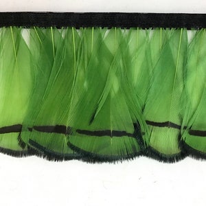 Feather border gold pheasant green - Made in Italy - hatter scrapbooking jewelry making decorative feather
