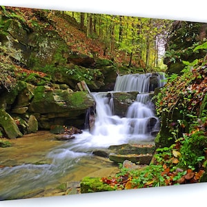 Framed on sale landscape pictures