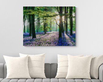 Bluebell Woodland Canvas Picture Print Framed Landscape Wall Art Home Decor