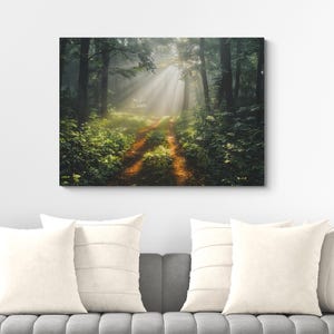 Woodland Sunrays Canvas Print: Forest Landscape Wall Art
