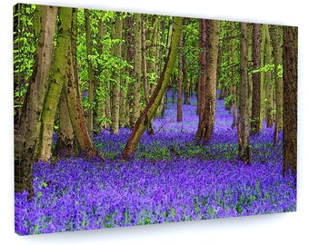 Bluebell Woodland Landscape Framed Canvas Picture Print Wall Art