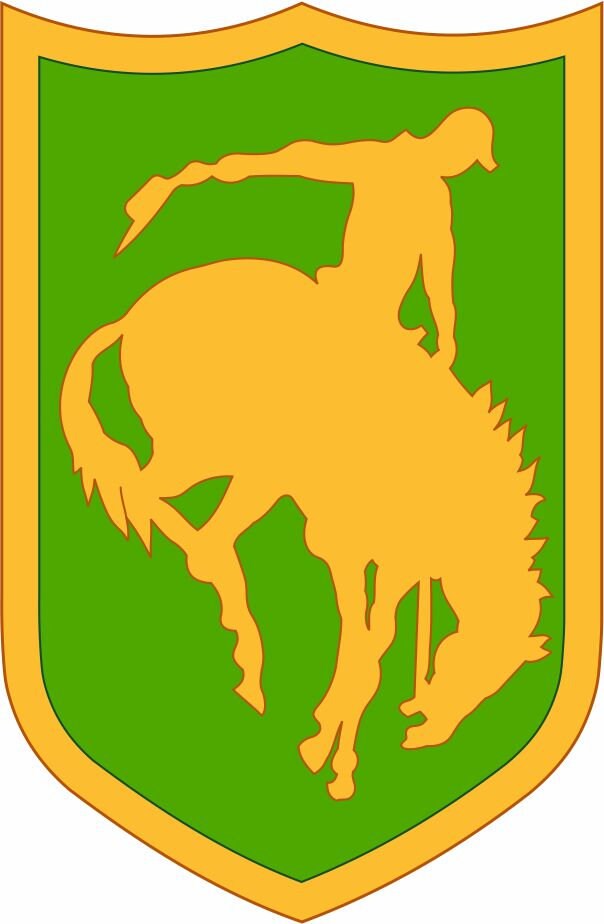 McCollum High School San Antonio TX JROTC Emblem STICKER Etsy