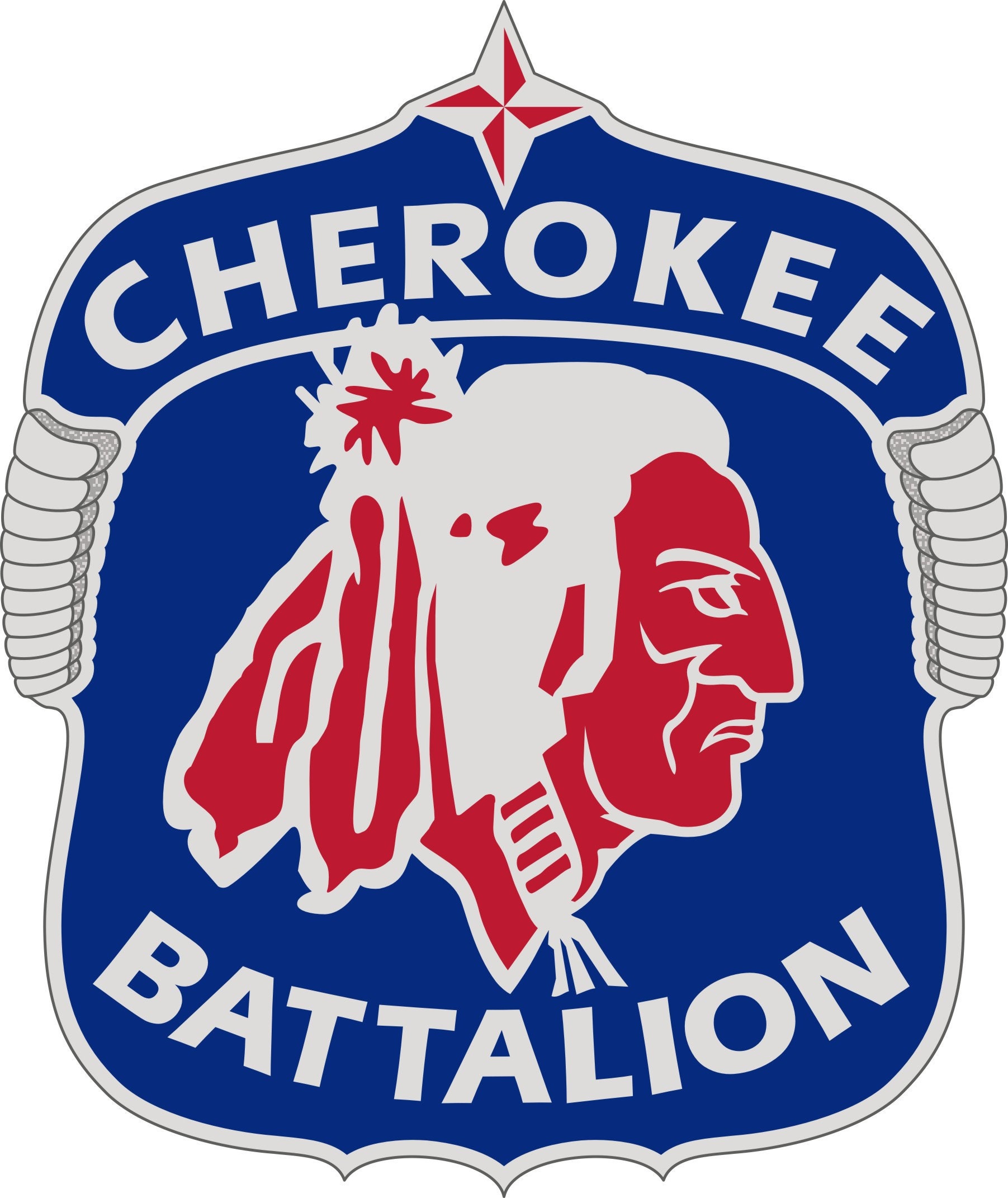 SouthDoyle High School Knoxville TN JROTC Emblem STICKER Etsy