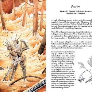 May include: A couple of stylized trees embrace in a fiery orange forest. The text "Passion" is at the top of the page. The text "Keywords - Euphoria, Infatuation, Romance" is below the word "Passion". The text "Featured Tree - Hawthorn" is below the keywords. The text "When this card appears in a reading, it may indicate desire, romantic feelings, or a state of infatuation. When the dried leaves of everyday life are suddenly lit by these euphoric fires, they capture our full attention, keeping us transfixed by their flickering, hypnotic movements." is below the featured tree. The text "Few emotions burn as brightly or wield power like passion does. If it can be harnessed in a healthy manner, its creative potential knows no bounds. Passion fuels us with the vigor of a bonfire and its fiery touch is capable of clearing obstacles that obstruct our path ahead." is below the previous text. The text "Be warned however, that infatuation may ignore truth in favor of ideal-izations. In the mind of the smitten, a lover isn't just a person, they may appear as divinity incarnate; some-one who can grant us everlasting meaning and help us momentarily escape from the shackles of our own mortality. The need for inti-macy and purpose is common to us all, but take care not to give your power away to a fantasized version of reality. Hawthorns belong to the same plant family as roses. And like these elegant flowers, the branches of hawthorns possess pointed thorns, serving as a reminder to exercise a little caution when pursuing some-one or something desirable." is below the previous text. The number "11" is at the bottom right corner of the page.