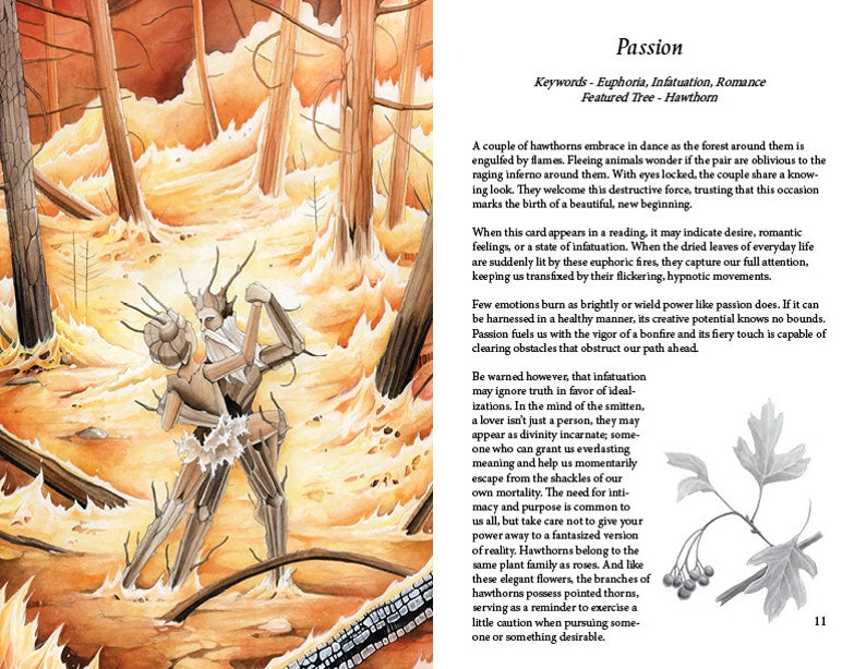 May include: A couple of stylized trees embrace in a fiery orange forest. The text "Passion" is at the top of the page. The text "Keywords - Euphoria, Infatuation, Romance" is below the word "Passion". The text "Featured Tree - Hawthorn" is below the keywords. The text "When this card appears in a reading, it may indicate desire, romantic feelings, or a state of infatuation. When the dried leaves of everyday life are suddenly lit by these euphoric fires, they capture our full attention, keeping us transfixed by their flickering, hypnotic movements." is below the featured tree. The text "Few emotions burn as brightly or wield power like passion does. If it can be harnessed in a healthy manner, its creative potential knows no bounds. Passion fuels us with the vigor of a bonfire and its fiery touch is capable of clearing obstacles that obstruct our path ahead." is below the previous text. The text "Be warned however, that infatuation may ignore truth in favor of ideal-izations. In the mind of the smitten, a lover isn't just a person, they may appear as divinity incarnate; some-one who can grant us everlasting meaning and help us momentarily escape from the shackles of our own mortality. The need for inti-macy and purpose is common to us all, but take care not to give your power away to a fantasized version of reality. Hawthorns belong to the same plant family as roses. And like these elegant flowers, the branches of hawthorns possess pointed thorns, serving as a reminder to exercise a little caution when pursuing some-one or something desirable." is below the previous text. The number "11" is at the bottom right corner of the page.