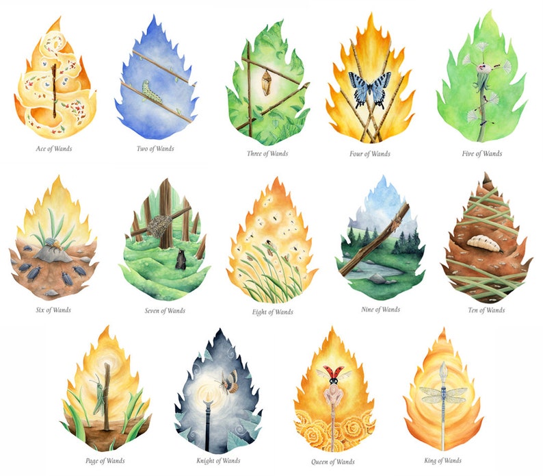 WilderWoven Tarot & PDF-guidebok bild 8