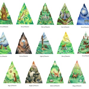WilderWoven Tarot & PDF-guidebok bild 6