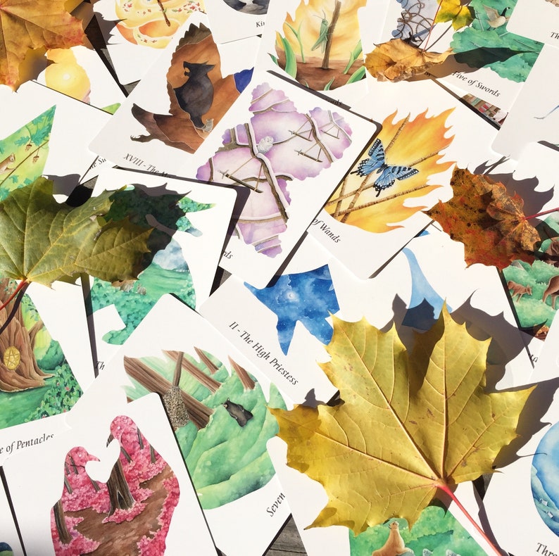 WilderWoven Tarot & PDF-guidebok bild 3