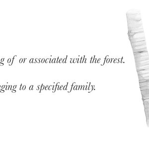 May include: A black and white illustration of birch trees with the text "Sylvan - consisting of or associated with the forest. Kind - of or belonging to a specified family."