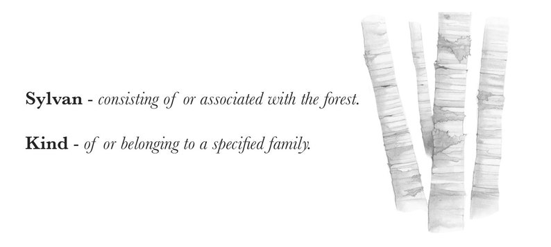 May include: A black and white illustration of birch trees with the text "Sylvan - consisting of or associated with the forest. Kind - of or belonging to a specified family."