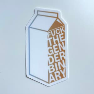 Fuck the Gender Binary Vinyl Sticker, Fuck the Patriarchy Sticker, Queer Art, Girls Gays Theys, No Gender Roles, Pride Month Fast Shipping