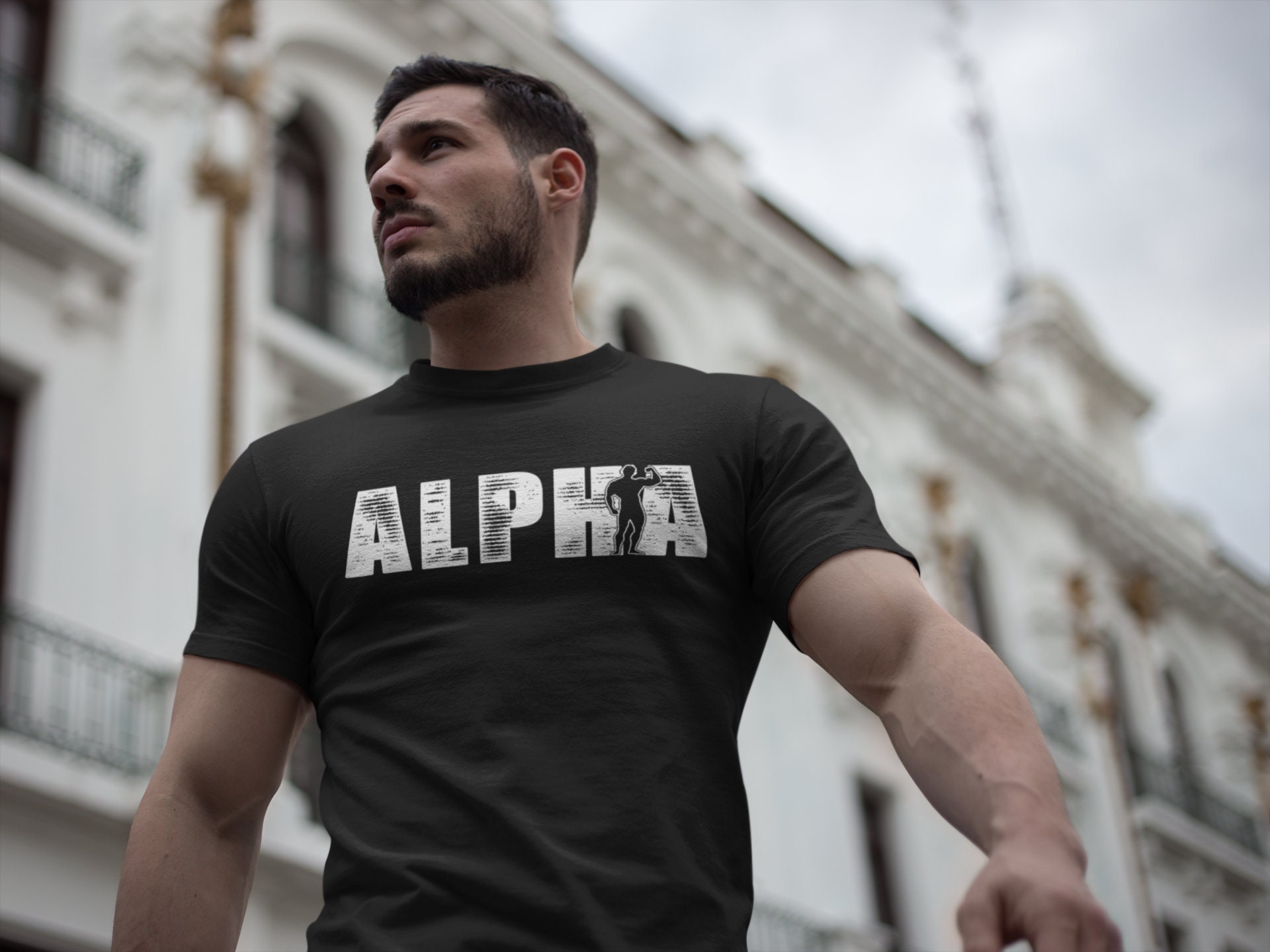 Shirt Funny Tshirt Etsy T-shirt Funny - Alpha Shirt Humorous Lift Alpha Fitness Male Gym Workout Weight Shirt T T-shirt