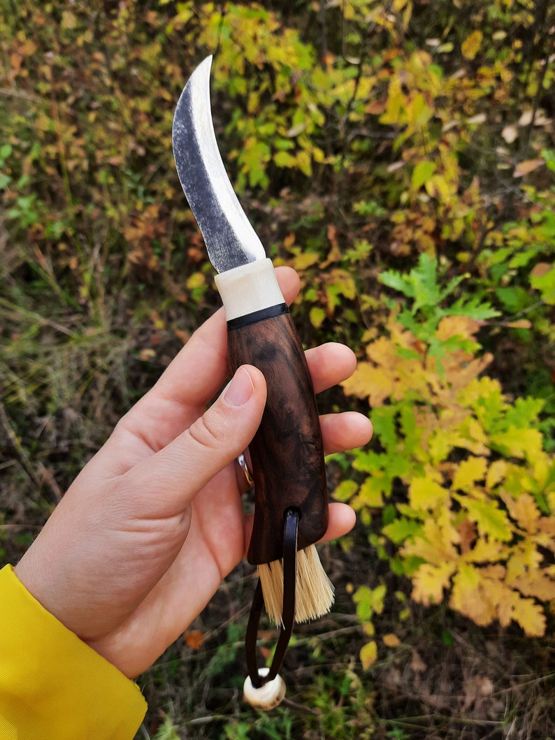 Mushroom Knife With Brush Hand Fixed Blade Knife Gift Etsy