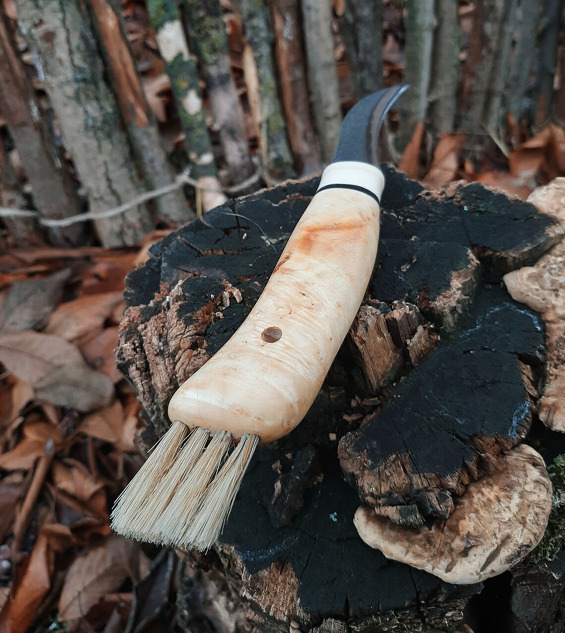 Mushroom Hunting Knife With Brush Carbon Steel Knive Small Etsy