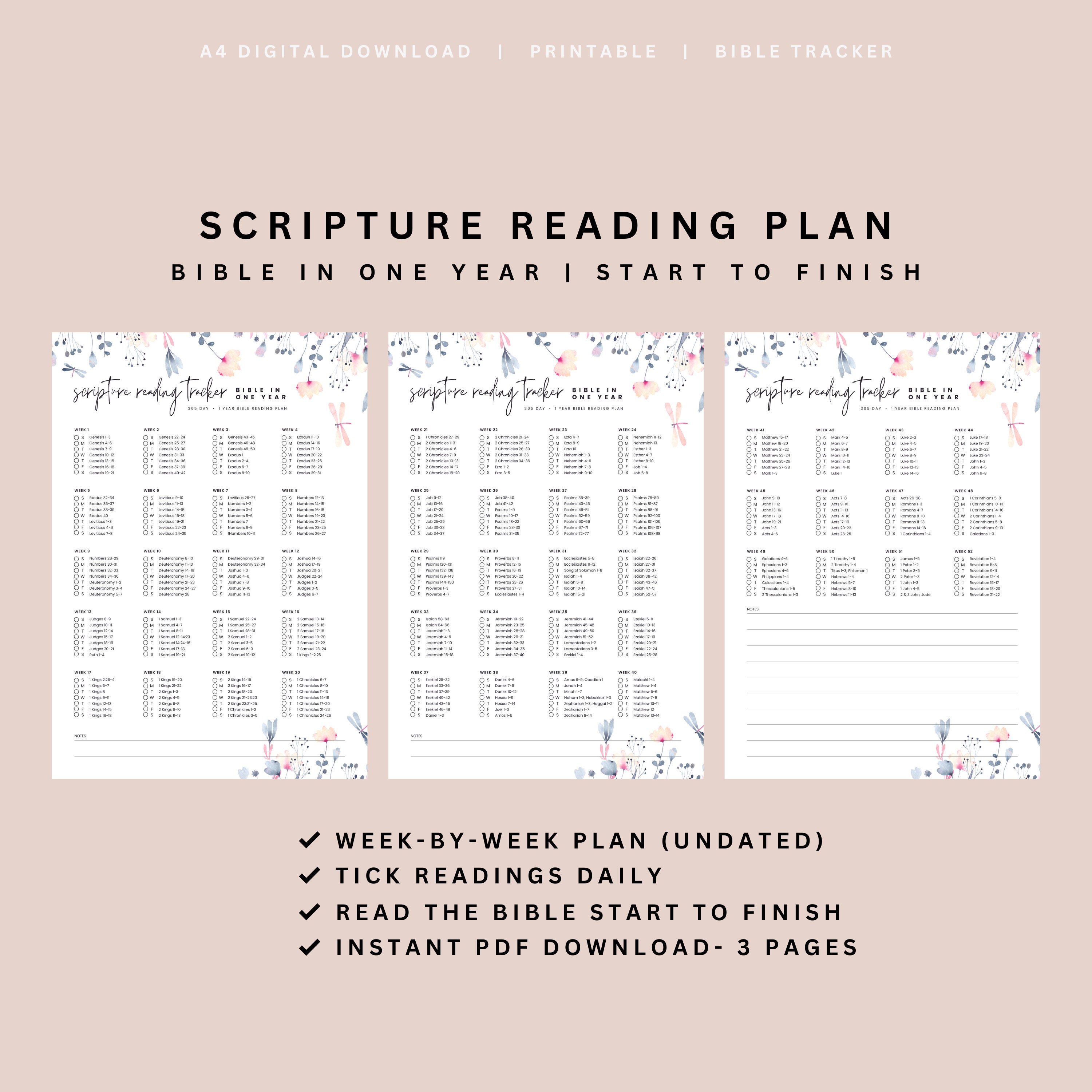 BIBLE in ONE YEAR From Start to Finish Florals | Bible Reading Plan ...