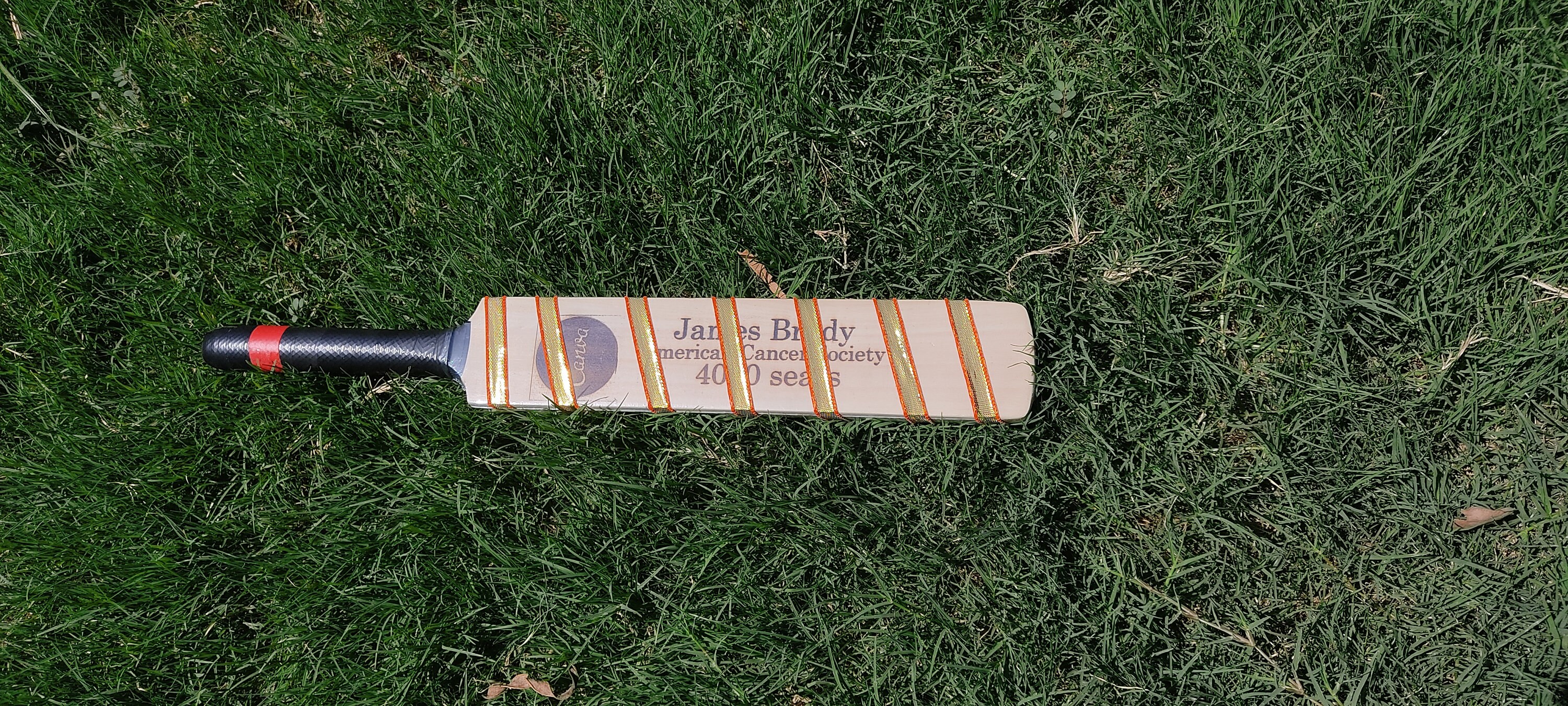 Engraved personalized Mini Cricket Bat, Gift Cricket Bat, Cricket Bat