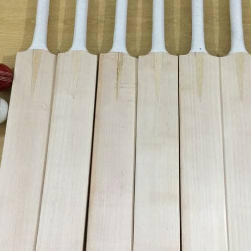 Batte de cricket en saule anglais - Idéale pour les débutants - Batte