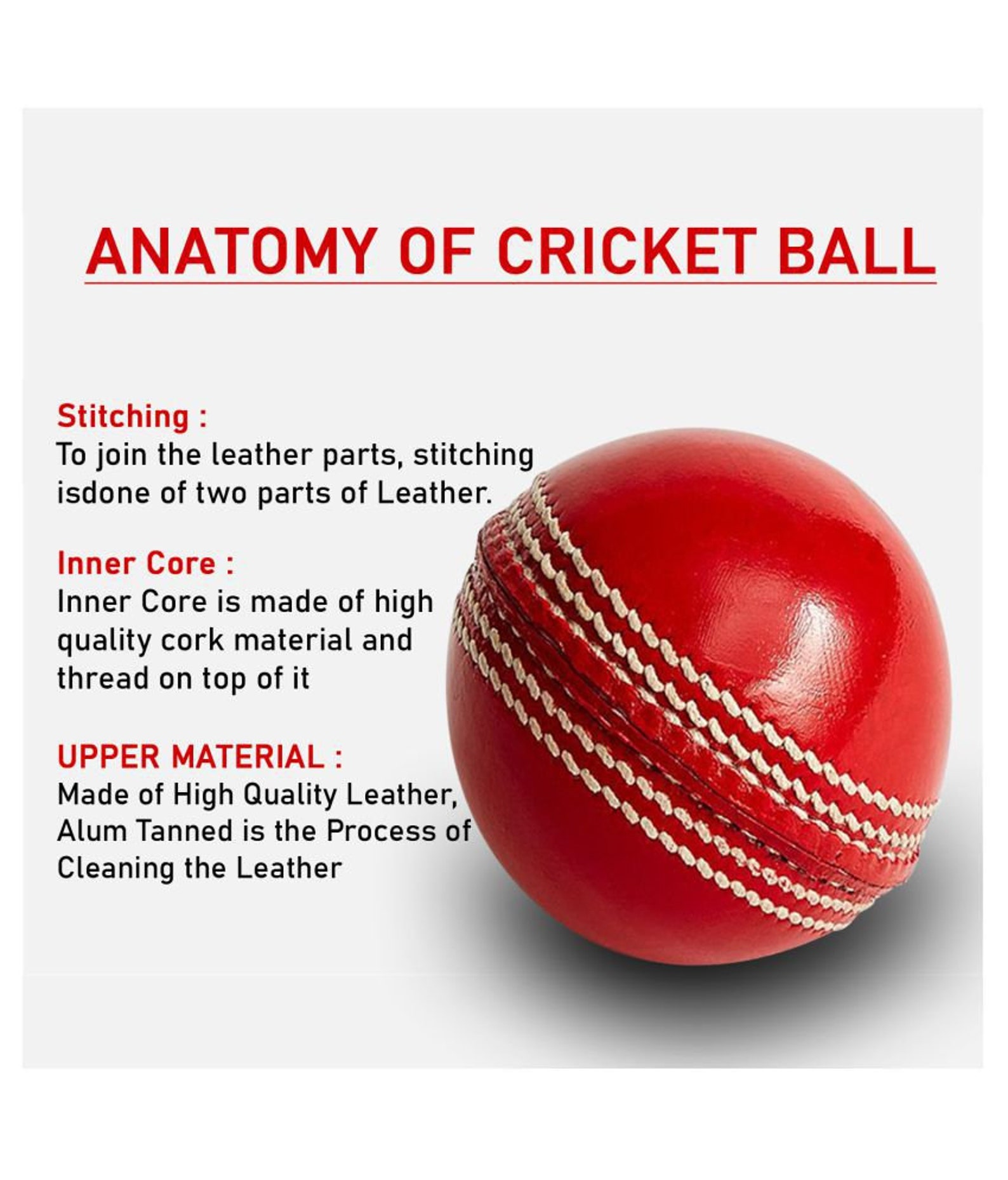 Engraved Cricket Ball, Wedding Gift, Leather Ball Gift, Cricket Gift