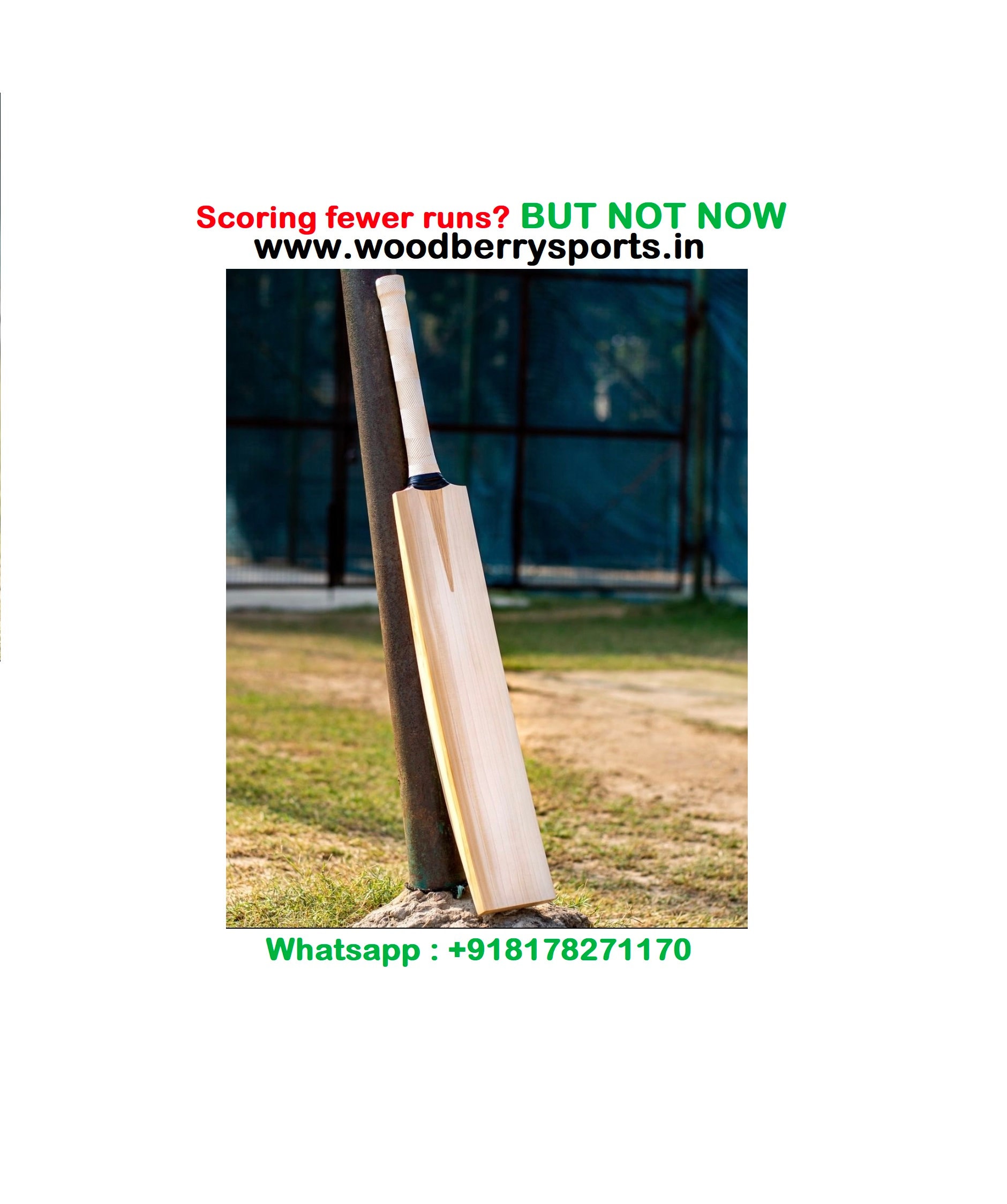 Professional Budget English Willow G2 Cricket Bat Hard Etsy Ireland