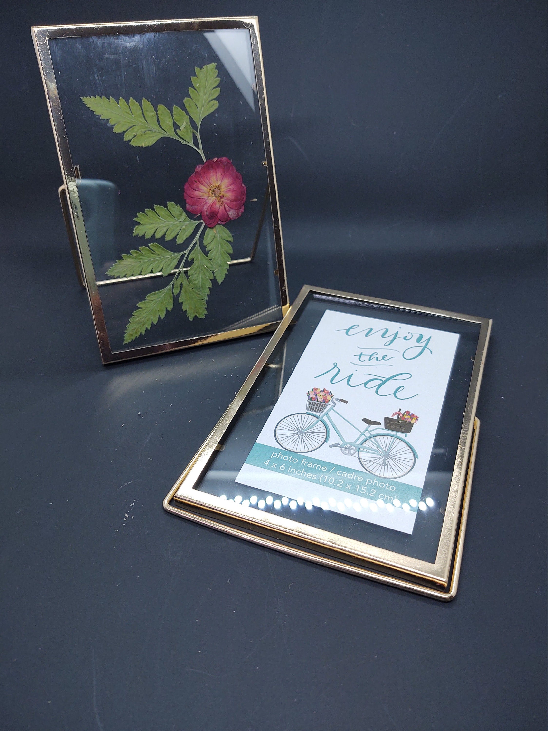 4x6 floating frame with flower Etsy