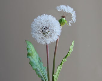 Real touch fluffy Dandelion  for home decor Cold Porcelain Flowers Botanical sculpture Artificial Dandelion