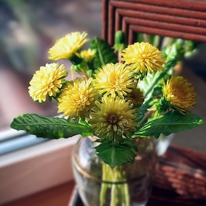 Handmade dandelions bouquet Cold Porcelain Flowers Botanical sculpture Artificial Dandelion
