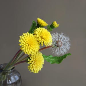 Kalte Porzellan Löwenzahn Bouquet Handgemachte Blumen Botanische Skulptur Künstlicher Löwenzahn