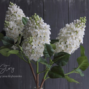 Puede incluir: Un ramo de flores de lila blancas con hojas verdes sobre un fondo de madera gris oscuro. Las flores están dispuestas en un jarrón, y el texto "FloreStory by Lena Hryhorenko" es visible en la parte inferior de la imagen.