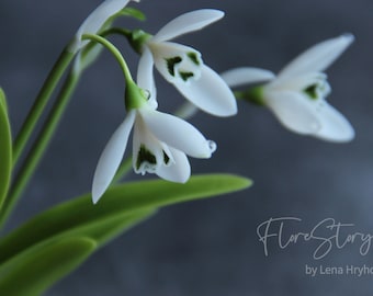 Bucaneve come regalo, porcellana fredda, fiori realistici, bouquet di bucaneve artificiali