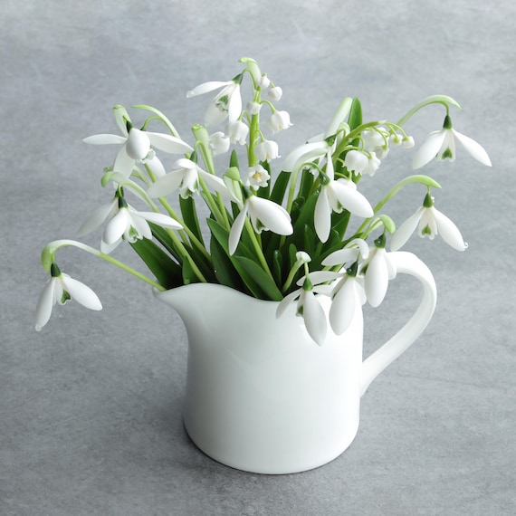 スノードロップのクリスマスギフト、冷たい磁器の花、人工スノー