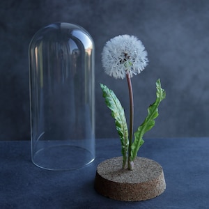 Dandelion sculpture in glass cloche. Cold porcelain flower, botanical table arrangement, nature inspired
