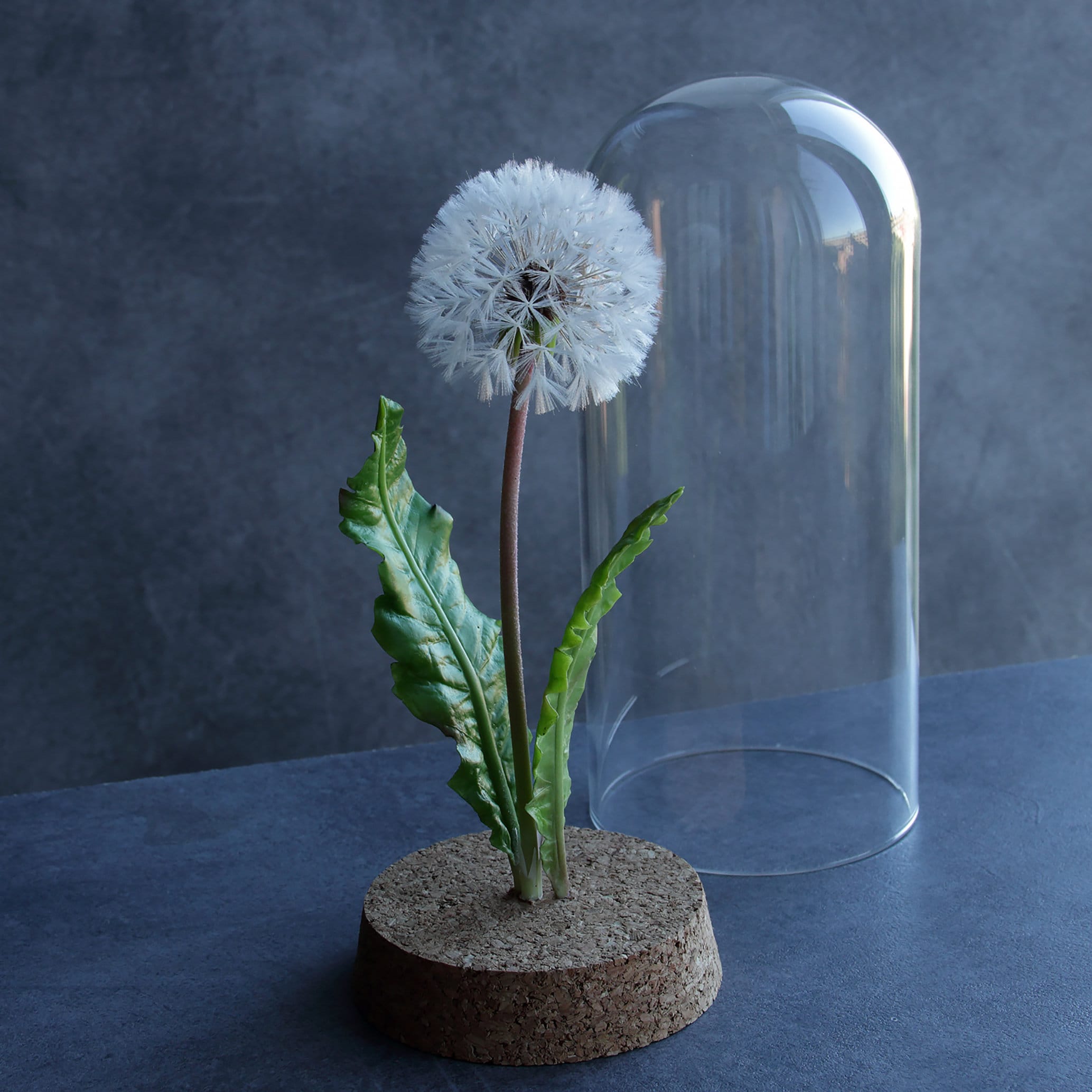 ガラスドームのタンポポの花、冷たい磁器の花、植物のテーブル 