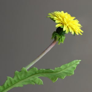 Cold Porcelain dandelion Handmade Flowers Botanical sculpture Artificial Dandelion