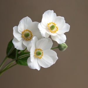 Clay anemones bouquet, Cold Porcelain Flowers, Botanical sculpture Artificial anemone