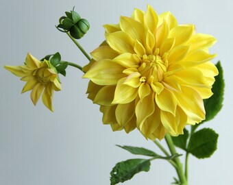 Clay Dahlia for home decor, Realistic cold porcelain  flowers, Artificial dahlia, Gift for mom