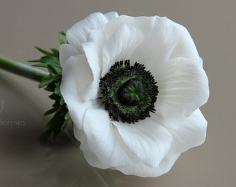il_340x270.5248044147_f3se.jpg