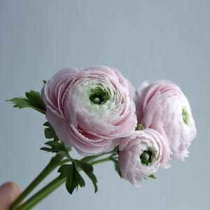 Real touch ranunculus bouquet for home decor and interior Cold Porcelain Flowers Botanical sculpture Artificial flower arrangement zdjęcie 6