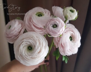 Featuman Fiori Artificiali Ranuncolo Verde - Mazzo Di 6 Fiori In Seta Con Steli Flessibili, 28 Cm, Realistici Per Vaso E Bouquet Da Sposa