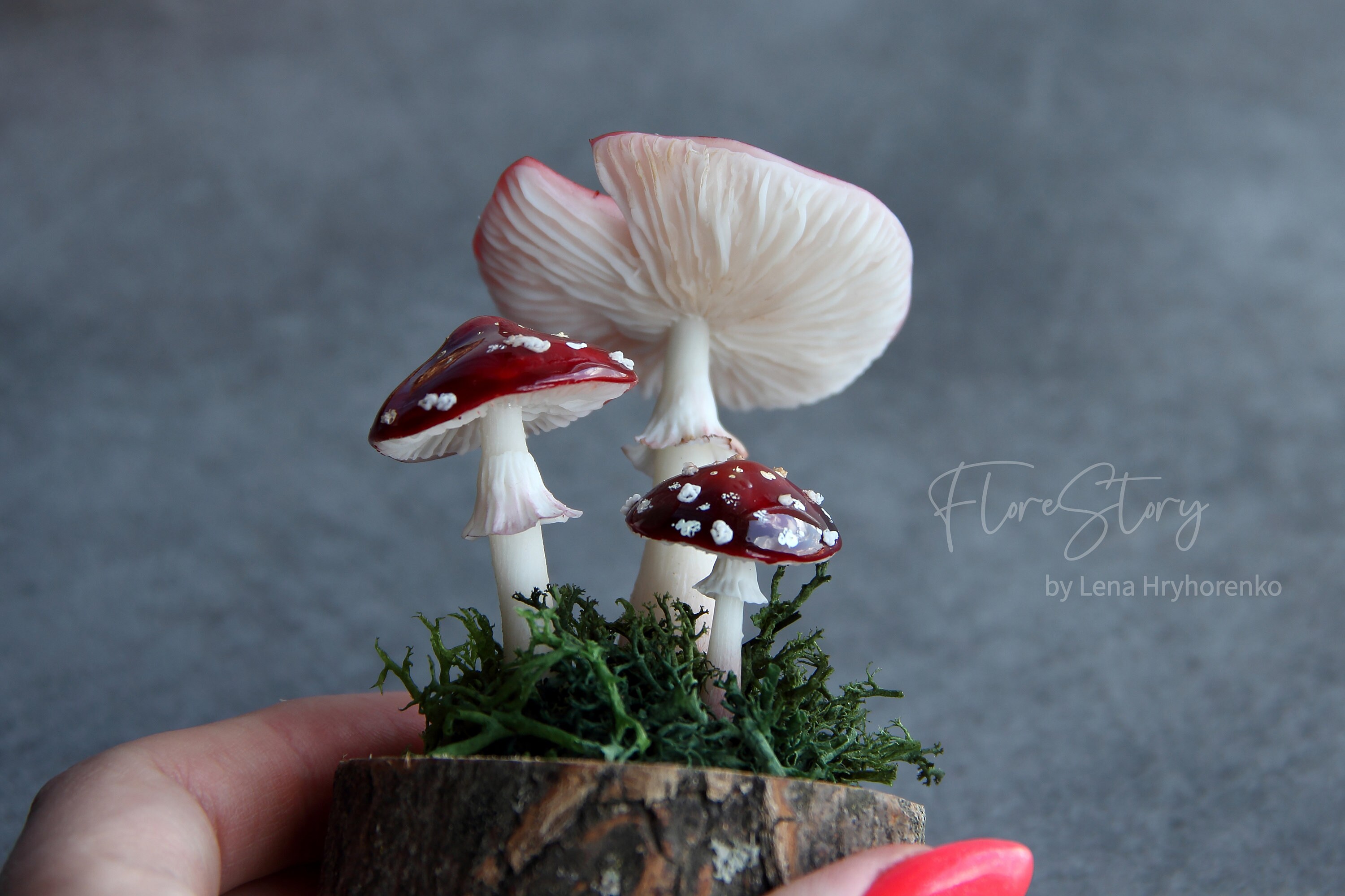 Bbiamsleep 4Pcs Mushroom Figurines Assorted Realistic Mushrooms