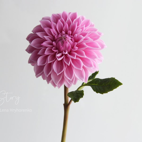 Real touch dahlia, Cold Porcelain Flowers, Botanical sculpture,Artificial dahlia