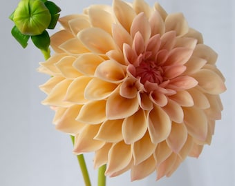 Real touch dahlia, Cold Porcelain Flowers, Botanical sculpture,Artificial dahlia