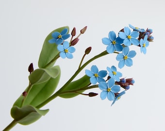 Vergissmeinnicht Ton, Kaltporzellan Blume, Real Touch Blumen, Realistische Blume