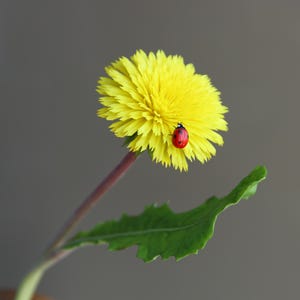 Cold Porcelain dandelion with LadyBug Handmade Flowers Botanical sculpture Artificial Dandelion