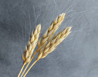 Spikelet of wheat, Cold porcelain flower, Wild flower bouquet, artificial wheat decoration