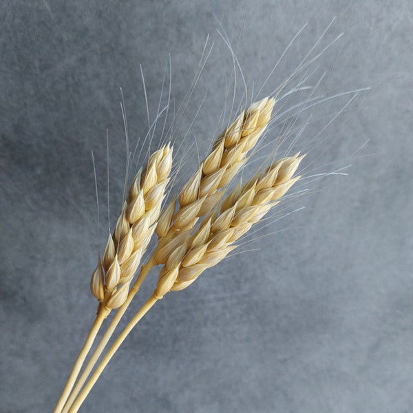 Cold Porcelain Wheat Spikelet: Handmade Wildflower Bouquet, Home Decor